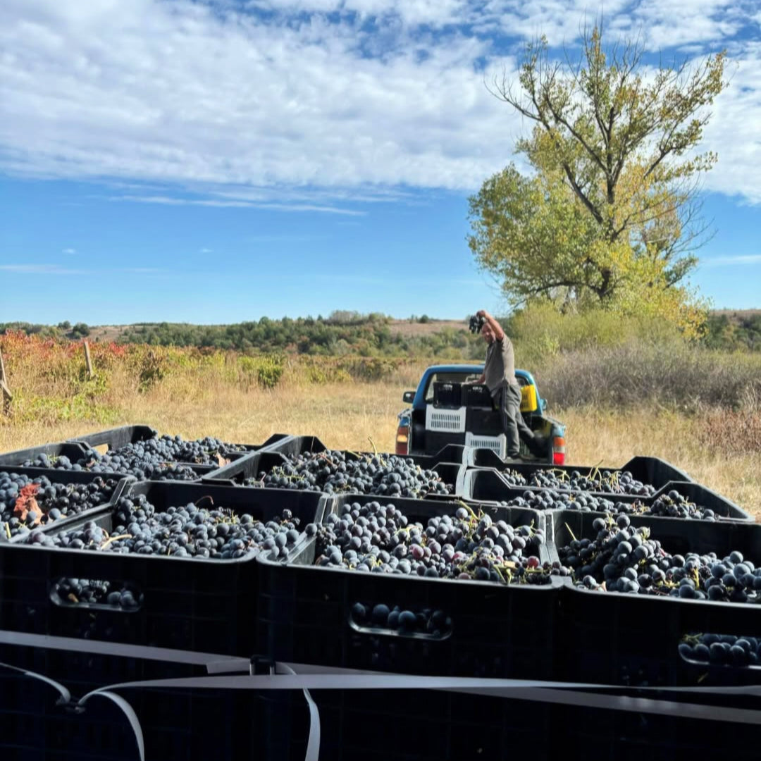 Georgiev & Milkov Mix Tape