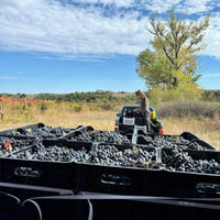 Georgiev & Milkov Mix Tape