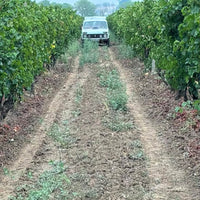 Georgiev & Milkov Mix Tape