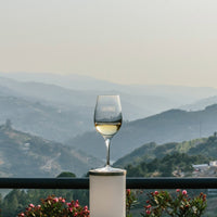 Monologo Arinto Organic Vinho Verde