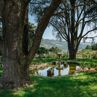 Monologo Arinto Organic Vinho Verde