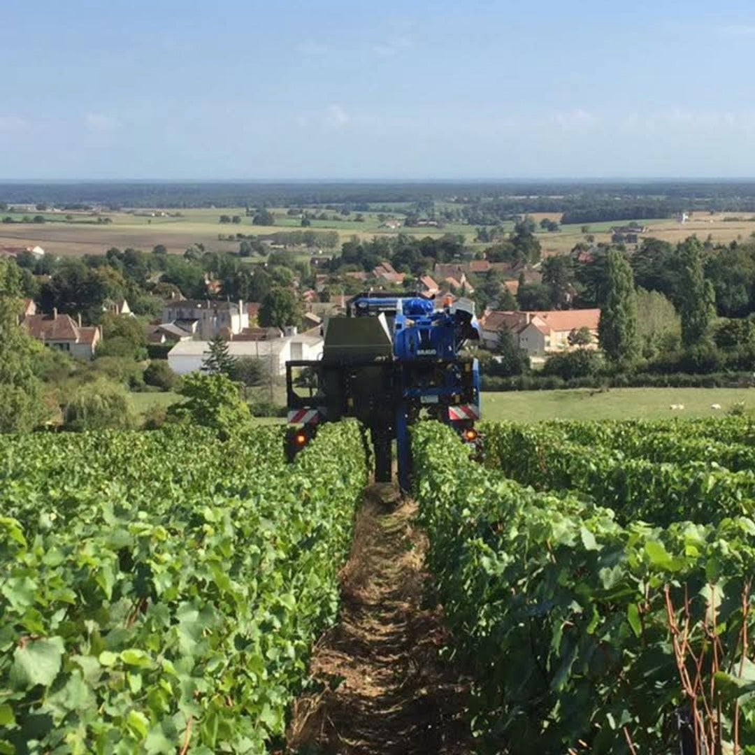 Domaine Francois Berthenet Montagny Les Coeres