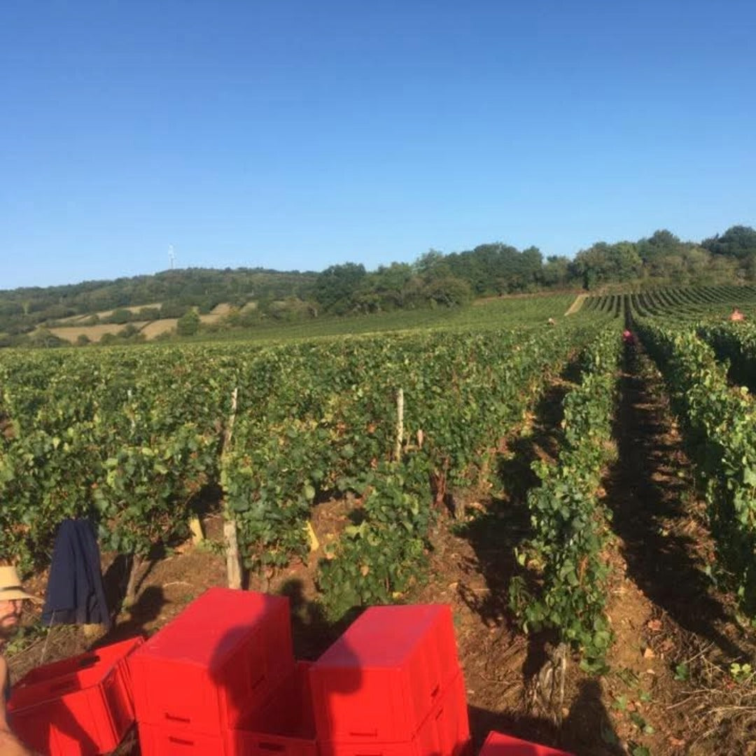 Domaine Francois Berthenet Montagny Les Coeres