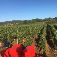 Domaine Francois Berthenet Montagny Les Coeres