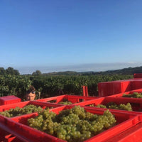 Domaine Francois Berthenet Montagny Les Coeres