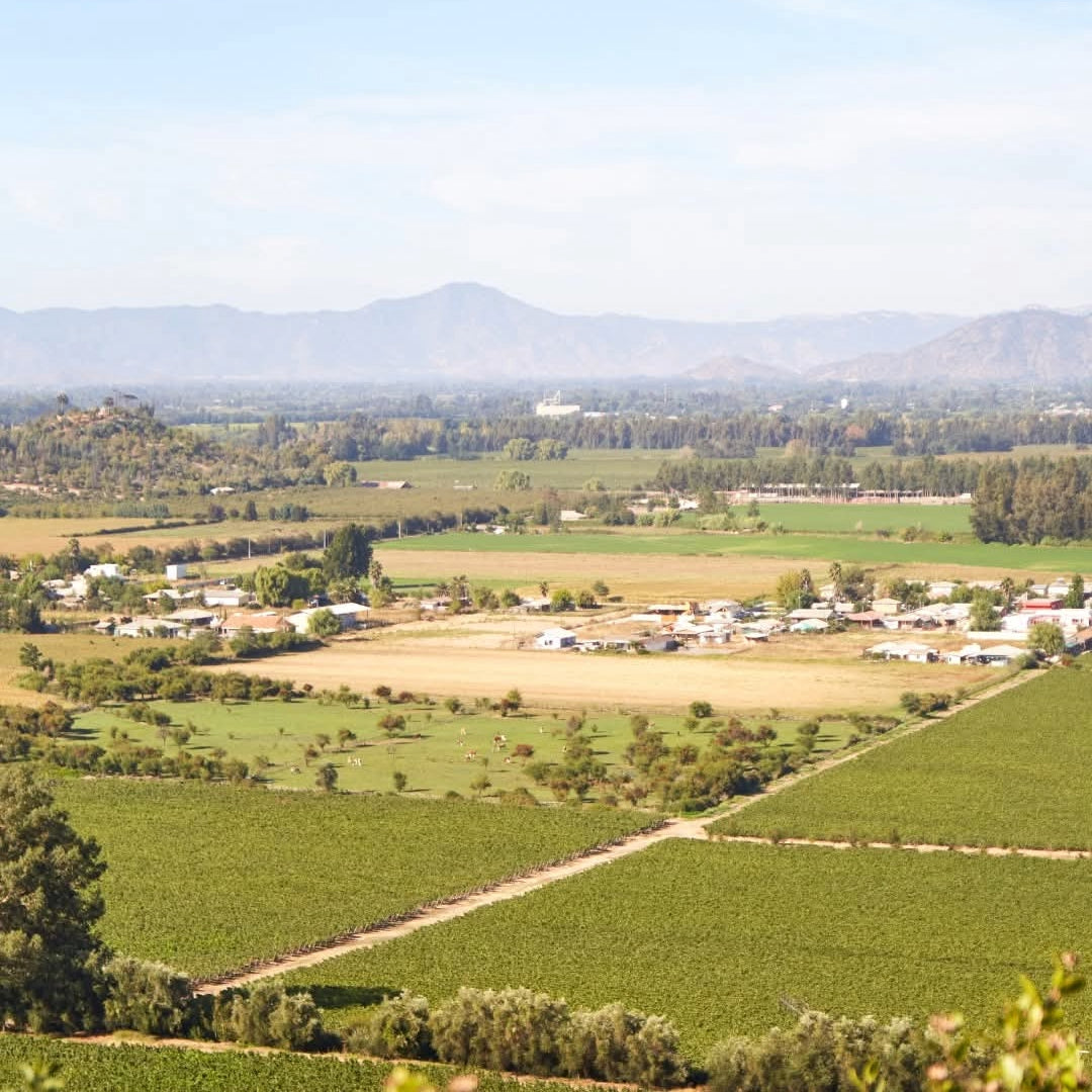 Montes Alpha Casablanca Chardonnay