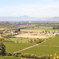 Montes Alpha Casablanca Chardonnay