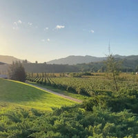 Montes Alpha Casablanca Chardonnay