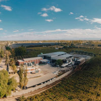 Dandelion Organic Malbec