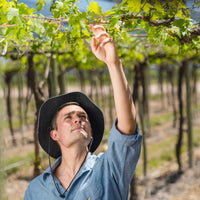 Matias Morcos Moscatel Naranjo Orange Wine