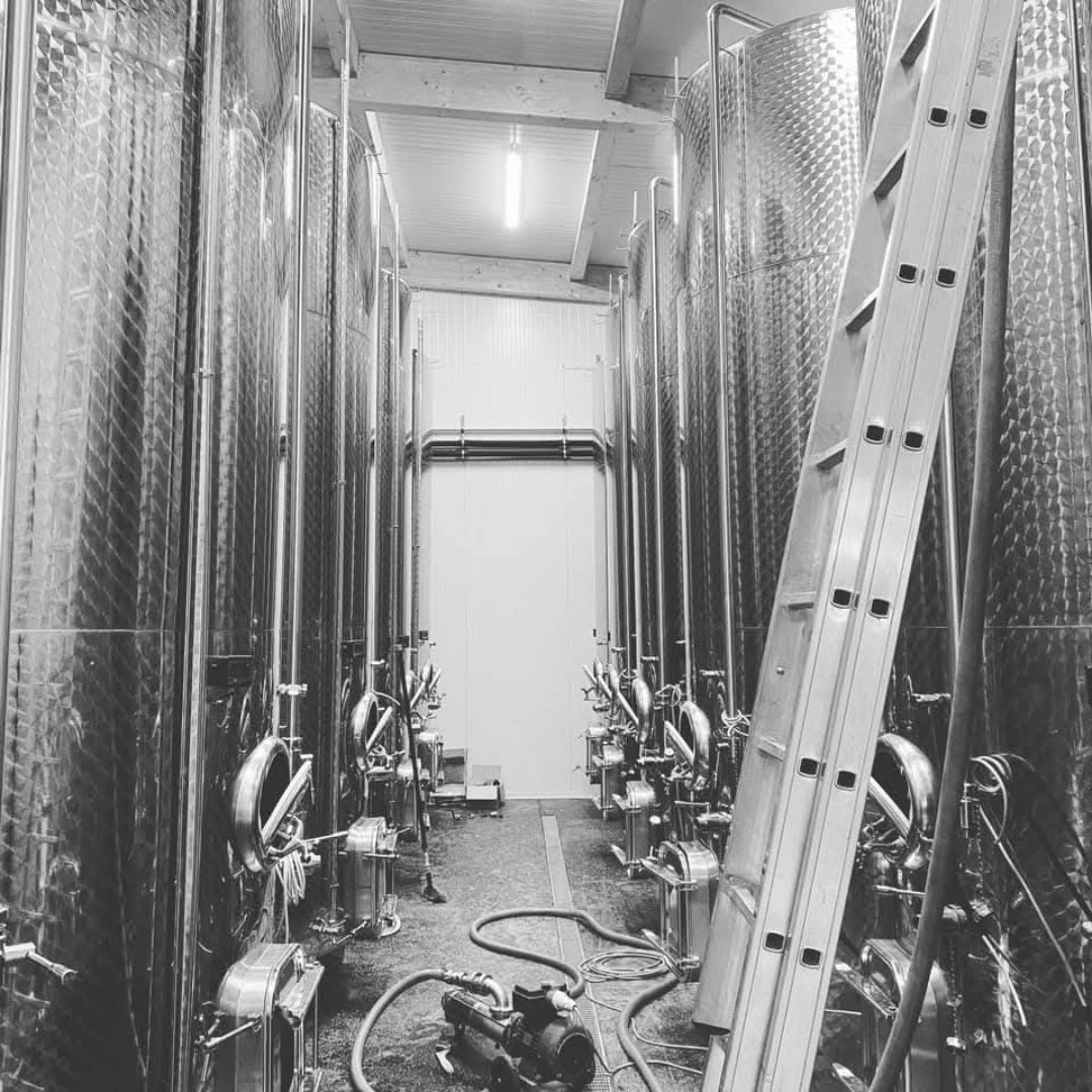 Muenzenrieder Gruner Veltliner