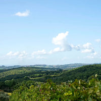 Nittardi Ad Astra Maremma Toscana