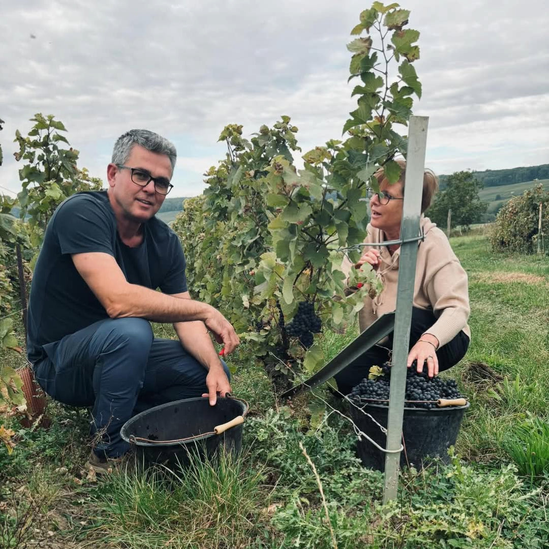 Olivier Pere Et Fils Origine Brut Champagne