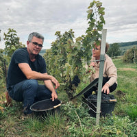Olivier Pere Et Fils Origine Brut Champagne
