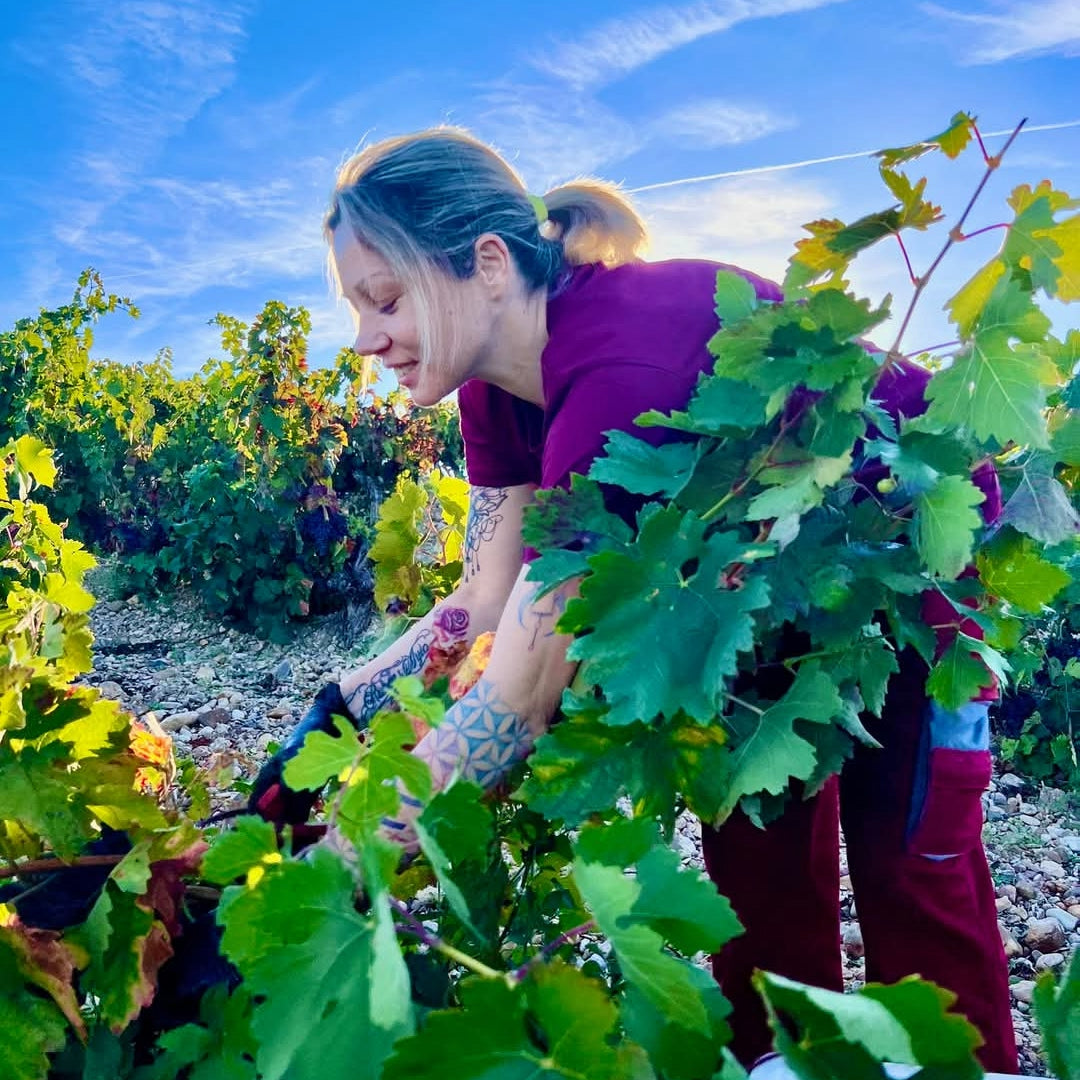 Rippa Dorii Ribera Del Duero Crianza