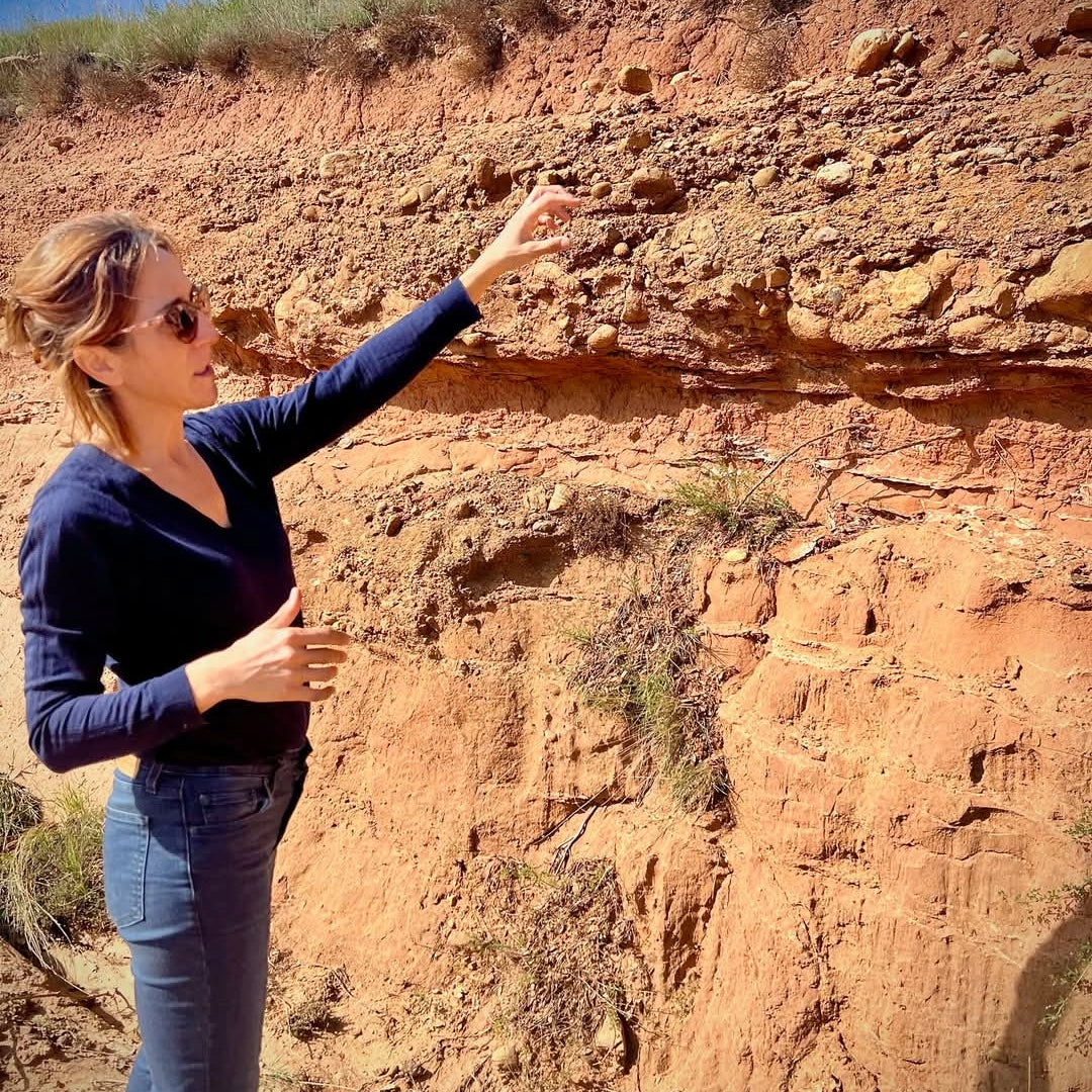 Rippa Dorii Ribera Del Duero Crianza