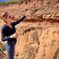 Rippa Dorii Ribera Del Duero Crianza