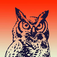 Kentucky Owl The Wiseman