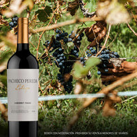 Pacheco Pereda Estirpe Organic Cabernet Franc
