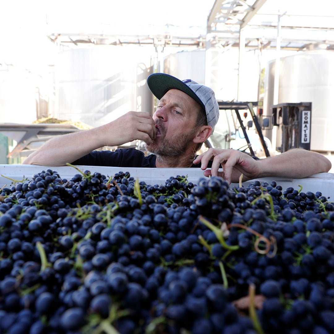 S.C.Pannell Basso Garnacha