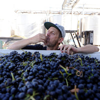 S.C.Pannell Basso Garnacha
