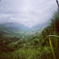 Paranubes Aguardente De Cana Blanco