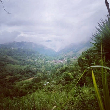 Paranubes Aguardente De Cana Blanco
