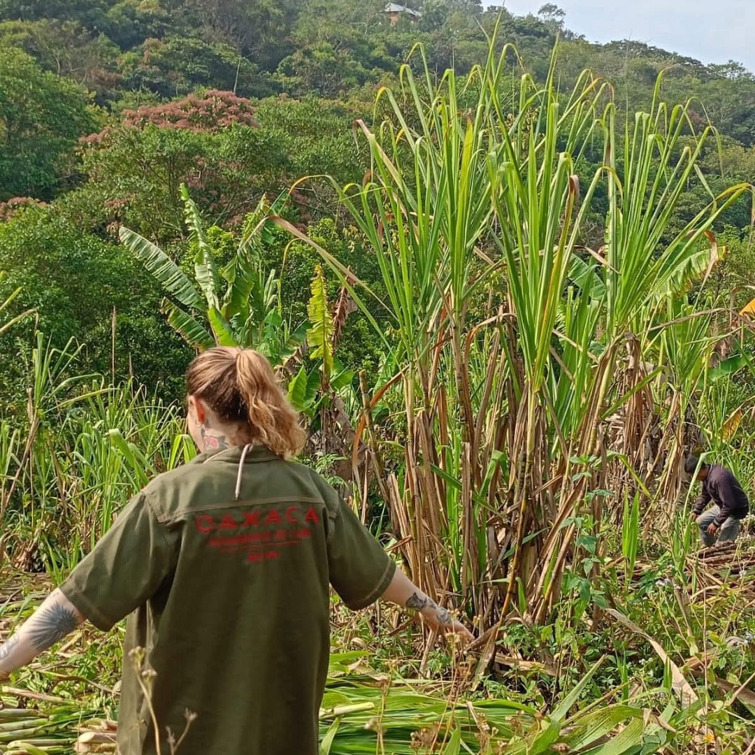 Paranubes Aguardente De Cana Blanco