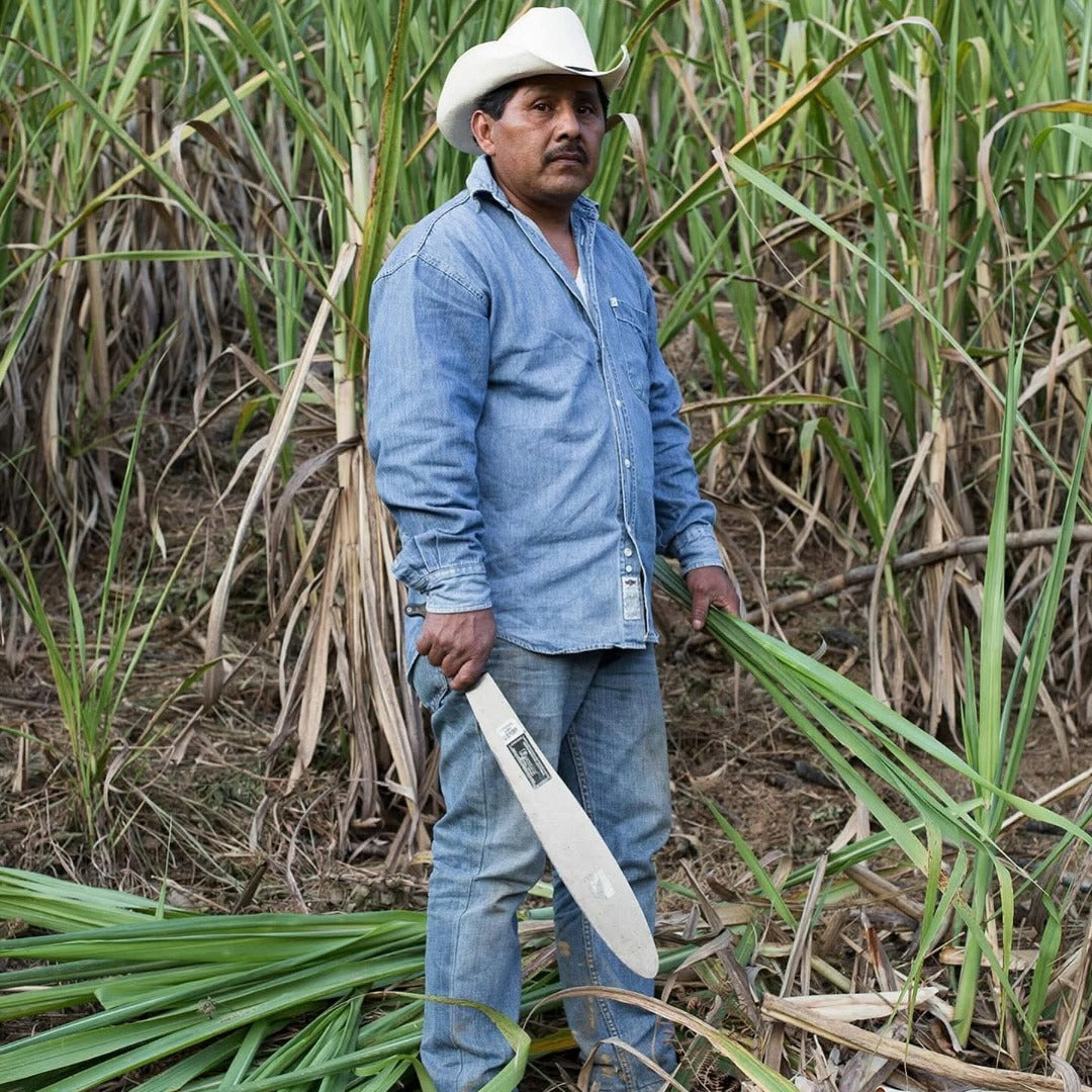 Paranubes Aguardente De Cana Blanco