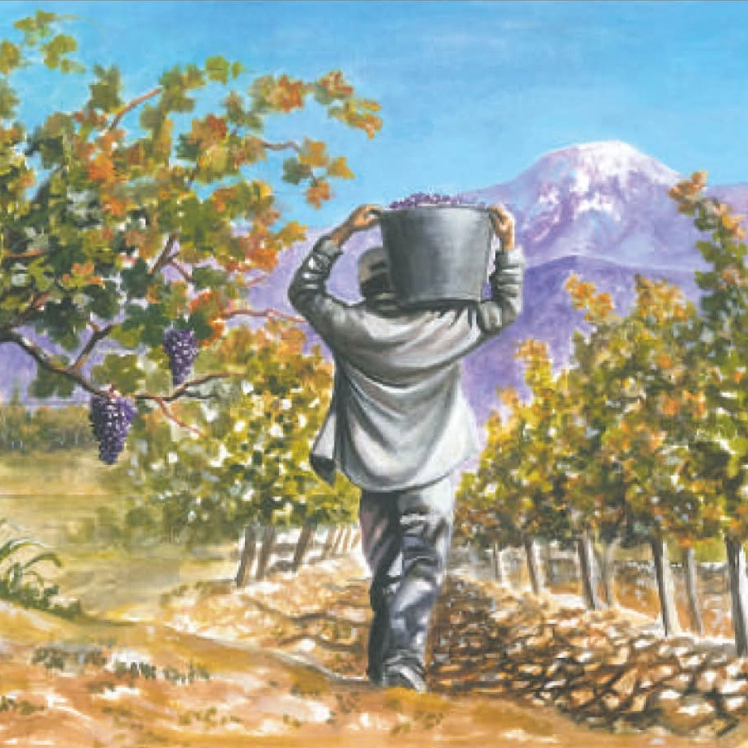 Los Abandonados Semillon