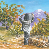 Los Abandonados Semillon