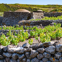 Pellegrino Passimora Nero D'Avola
