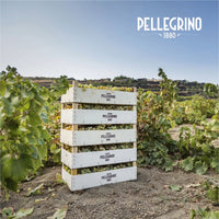 Pellegrino Passimora Nero D'Avola