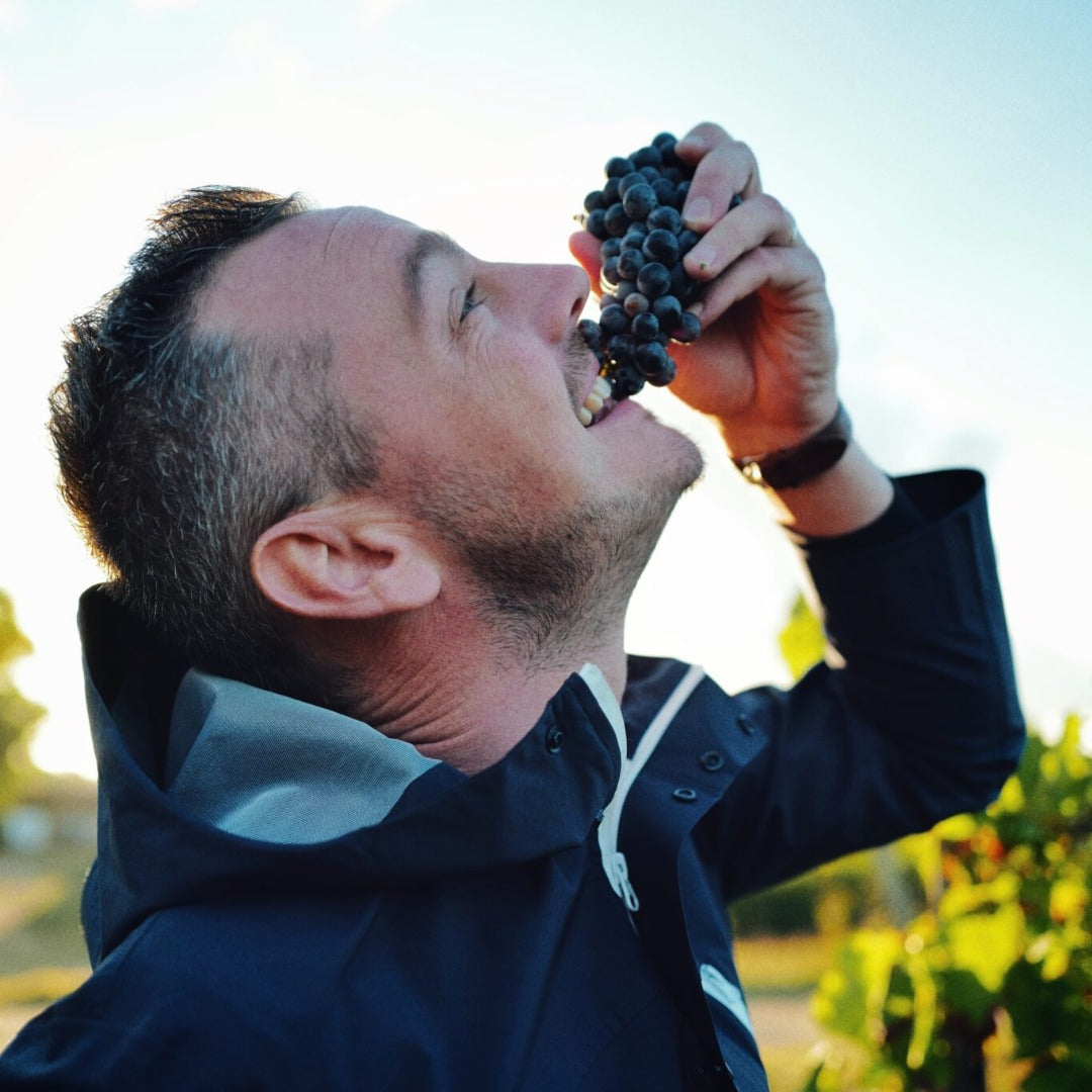 Chateau Penin Bourdeaux Superieur Tradition