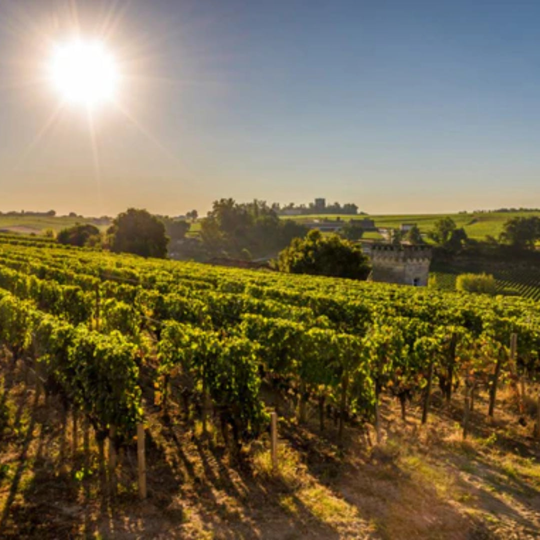 Chateau Grand-Pey-Lescours St Emilion Grand Cru