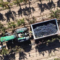 Bodegas Pinoso Cepa 50 Organic Monastrell