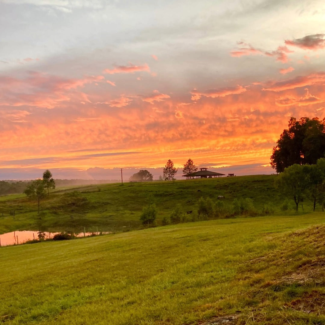Castel Pujol Folklore Orange
