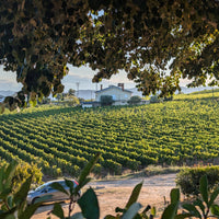 RCV Real Companhia Velha Lagrima White Port