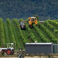 Russell & Suitor Son of a Bull Tasmanian Pinot Noir