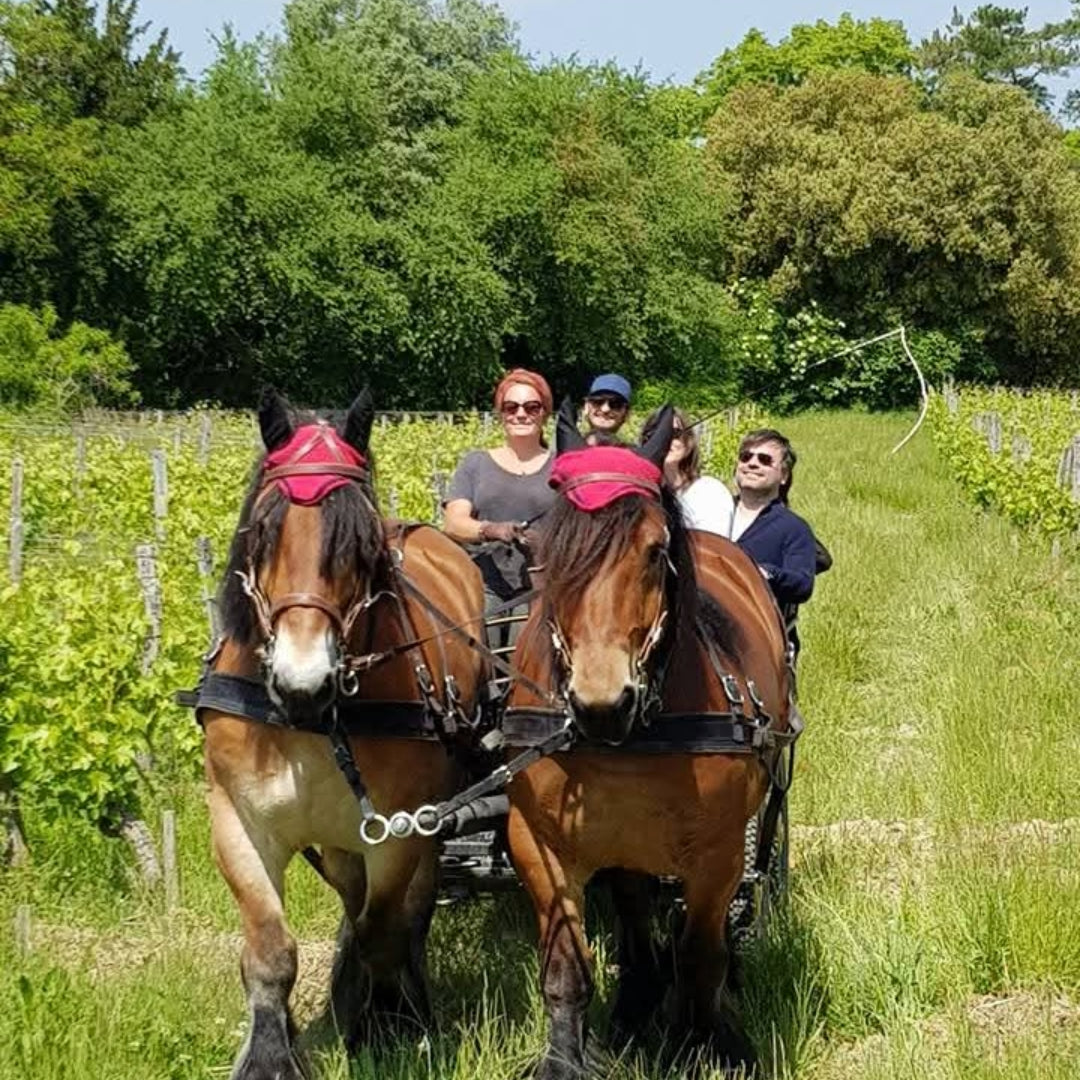 Thiery Germain Domaine Des Roches Neuves Saumur Champigny