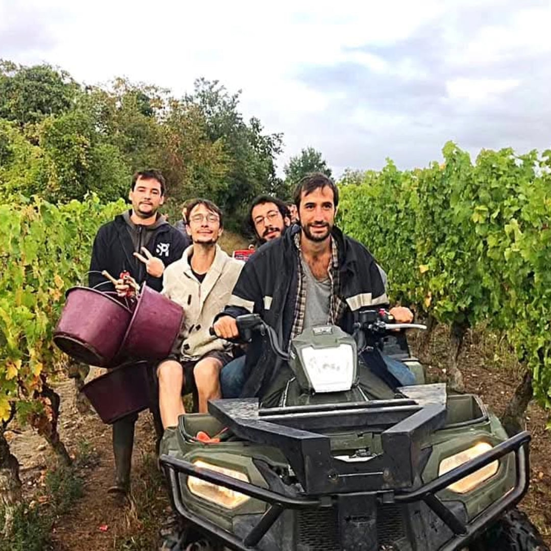 Thiery Germain Domaine Des Roches Neuves Saumur Champigny