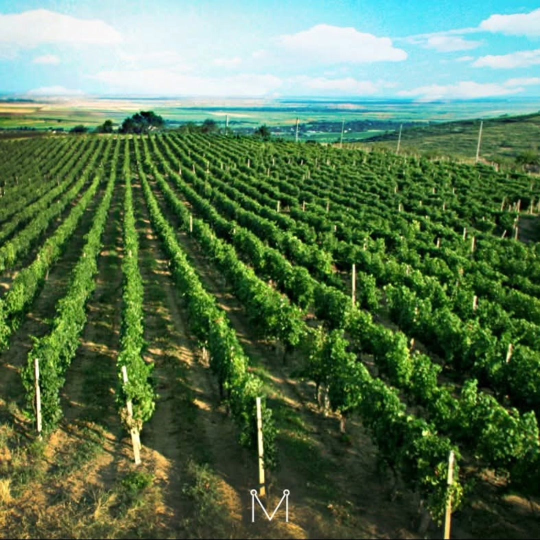 Crama De Matei Rosturi Merlot Cabernet Feteasca Neagra