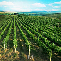 Crama De Matei Rosturi Merlot Cabernet Feteasca Neagra