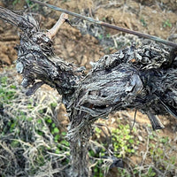 Crama De Matei Rosturi Merlot Cabernet Feteasca Neagra