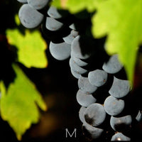 Crama De Matei Rosturi Merlot Cabernet Feteasca Neagra