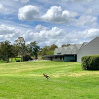 Shaw and Smith Adalaide Hills Shiraz