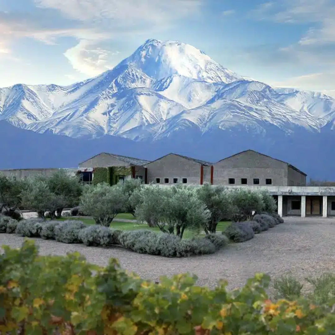 Bodega Atamisque Serbal Petit Verdot