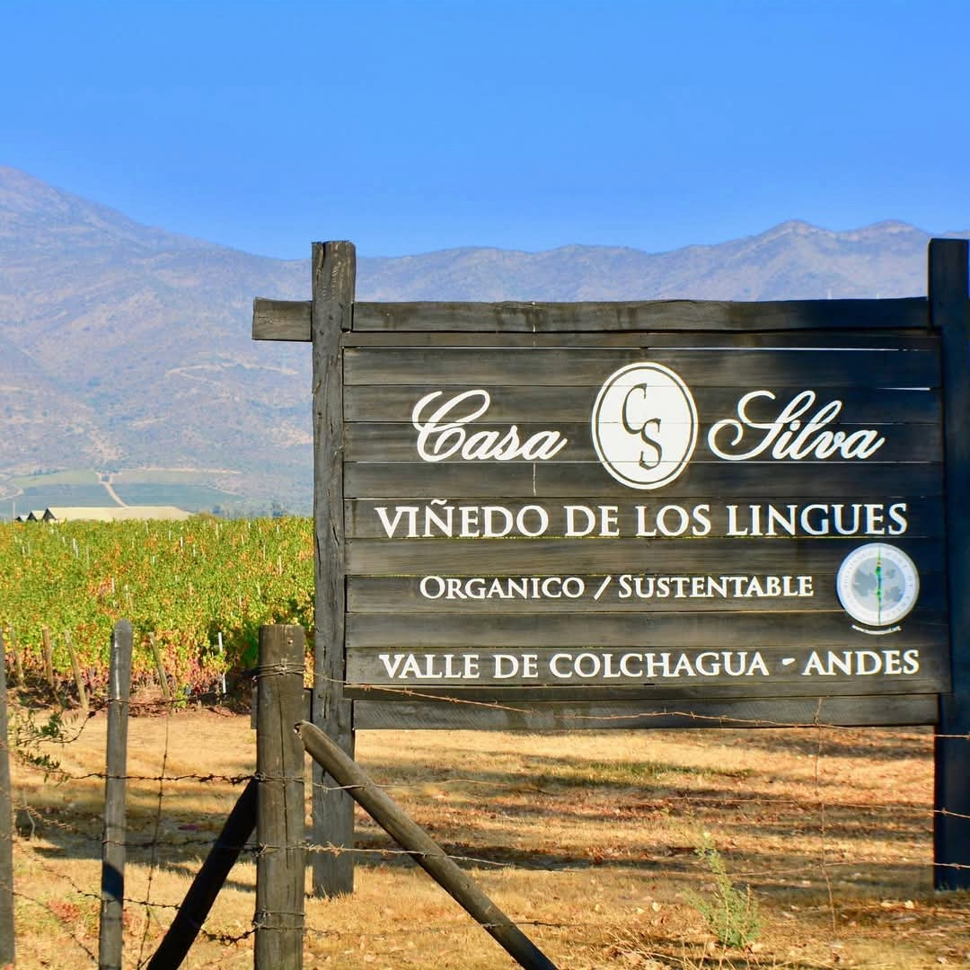 Casa Silva Lago Ranco Patagonian Riesling