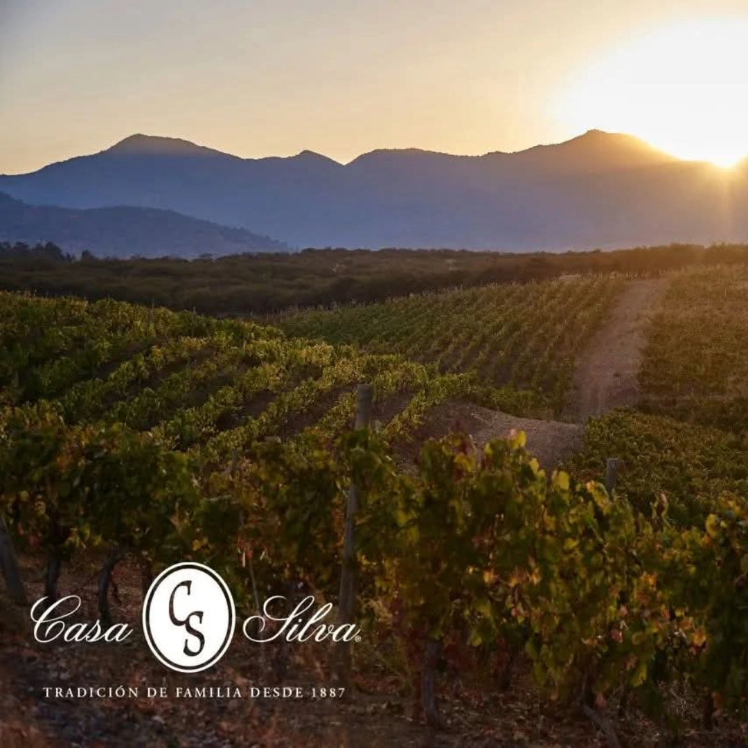 Casa Silva Lago Ranco Patagonian Riesling