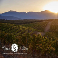 Casa Silva Lago Ranco Patagonian Riesling